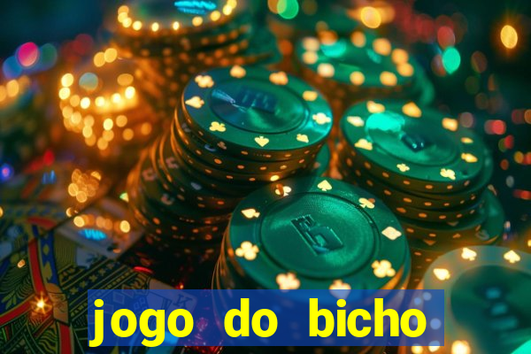 jogo do bicho feira de santana